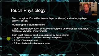 PSYC 359 Chapter 13 Touch mechanoreceptors pain phantom limb rubber hand illusion S1 [upl. by Colston474]