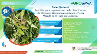 Taller Nacional “Medidas para la prevención de la diseminación del Complejo Bactericera cockerelli [upl. by Haiasi]