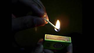 MATCHSTICK BURNING SLOW MOTION  LAB FLINGS [upl. by Haase]