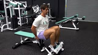 Anterior Tibialis Raise  Machine  Seated [upl. by Einatsed]