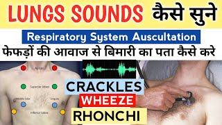 Lungs sound explained in Hindi  Normal amp Abnormal  wheeze Rhonchi Rub crackles use headphones [upl. by Juley939]