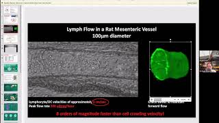 Another Amazing Interview with Pr Jimmy Moore New Research on Lymph Vessel Pumping amp Lymph Nodes [upl. by Dal]