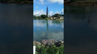 Walking At The Lagoon nature naturelovers naturevideo natureshorts lagoon lagoonablue [upl. by Nabois]