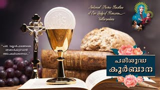 08 OCTOBER 2023  LIVE HOLY MASS  വിശുദ്ധ കുർബാന  VALLARPADAM SHRINE BASILICA [upl. by Mick]