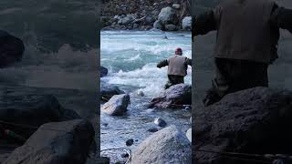 Its not easy to put a really big salmon in a net I ❤️ salmon fishing Vedder river Canada 🇨🇦 33 [upl. by Siulesoj]