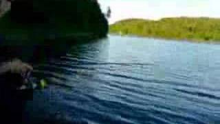 pike fishing champion quot fresh water fishingquot [upl. by Showker]