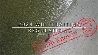 2021 Whitebaiting Regulations  Worth Knowin [upl. by Fernando200]