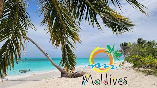 Maldives 2023 [upl. by Kaspar]