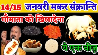 14 जनवरी पॉश मकर सक्रांति उपाय  january makarsankranti upay pradeepjimishra pradeepmishraji [upl. by Kopple497]