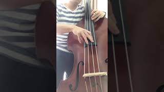 Pirastro Evah Pirazzi Slap double bass strings [upl. by Alleuqcaj]