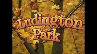 Ludington Park  The Long Journey [upl. by Annauqahs]