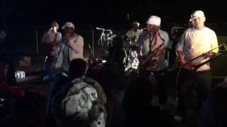 Niceness with Pato Banton at the first Joshua Tree Reggae festival [upl. by Innor]