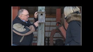 Two generations helping Saskatchewan bird species — one birdhouse at a time [upl. by Nnylarat]