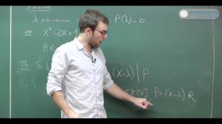 Les polynômes Cours maths sup BCPST prépa HEC [upl. by Enellek]