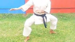 kata SANCHIN shitoryu karate do federation by fauzia malik🥋 [upl. by Lleuqar]