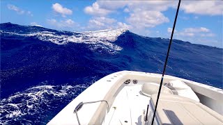 42 Freeman Catamaran vs 68 foot waves Dolphinfish Catch clean Cook [upl. by Rehc]