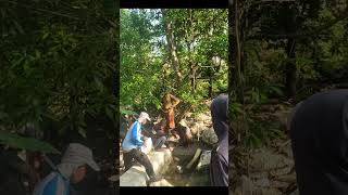 Air gunung hutan nature feedshorts [upl. by Vitale668]