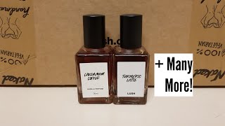 Top 5 LUSH Cosmetics Mens Fragrances Gorilla Perfumes [upl. by Aland125]