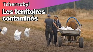 Les territoires contaminés autour de Tchernobyl [upl. by Annatnas92]