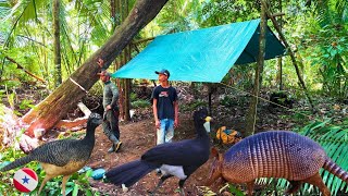 🏕️ acampamento selvagem na Beira de um igarapé vários rastros de animais o tatú ficou a um metro [upl. by Neruat686]