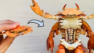 Homemade Armored Crabman Using Crabs 🦀♻️🙏 [upl. by Wilbert]