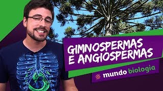 🌿 Botânica 25 Gimnospermas e Angiospermas  Biologia  ENEM [upl. by Drannek683]