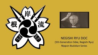 Introduction to Negishi Ryu Shurikenjutsu [upl. by Nauwtna]