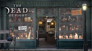 Witchcraft Shop Ambience 🧹🛒  Apothecary Trade Cat Town amp Rainstorm Sounds for Study amp Relaxation [upl. by Benilda]