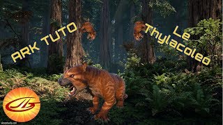 ARK TUTO Le Thylacoleo Comment tame ce gros matou [upl. by Fleur]