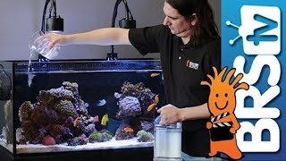 How To Dosing 2 Part in Your Reef Tank [upl. by Brubaker270]