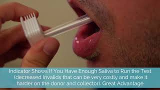 How to Use a SalivaConfirm® Oral Drug Test [upl. by Ahsinauj]