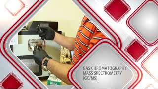 Gas ChromatographyMass Spectrometry [upl. by Lotz]