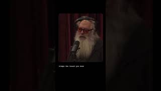 rick rubin and joe rogan podcast [upl. by Eilojne]