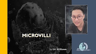 Microvilli by Dr William [upl. by Setarcos]