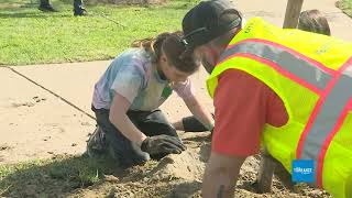 Planting New Trees in Torrance [upl. by Marteena]