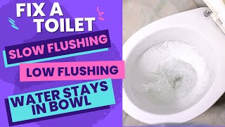 Toilet Wont Flush  Slow Flushing Toilet  Water Stays in Bowl [upl. by Dru]