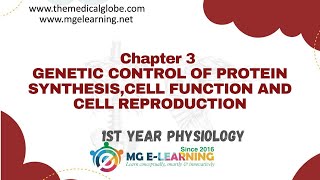 GENETIC CONTROL OF PROTEIN SYNTHESISCELL FUNCTION AND CELL REPRODUCTION Chapter 3 Physiology [upl. by Neela61]