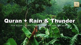 Rain and Peace Quran Recitation for sleeping relaxation meditation quranrain quranrecitation [upl. by Yssirk14]