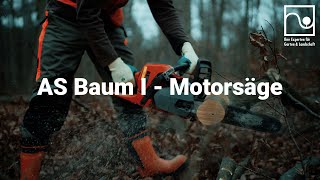 AS Baum 1 Motorsäge  ÜA in RheinlandPfalz amp Saarland [upl. by Nemracledairam]