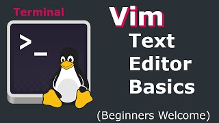 Vim Text Editor Basics  How to Use Vim on Linux  Mac  Unix Beginners Guide on Ubuntu 2004 [upl. by Anelehs]