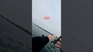 Schock 😱 Fisch reißt Angelrute ins Wasser fishing angeln omg [upl. by Gilchrist]