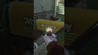 EASTER EGGS in BO2 Part 1 [upl. by Verla884]