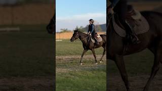 Happy Wednesday yesterday I rode Lady Darry 🐴🩷 gilaryeq equestrian techstirrups horseriding [upl. by Anav]