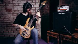 Pravitas  Signs Bass Playthrough [upl. by Luckin]