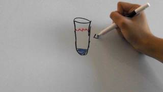 History of DNA and Chromosome Structure [upl. by Yesnik]