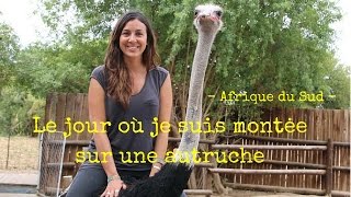 Afrique du Sud Safari Ostrich Farm Oudtshoorn [upl. by Merth]