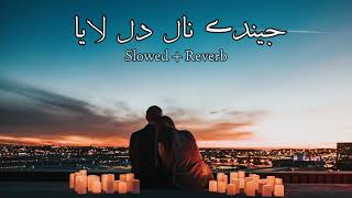 Jinde Nal Dil Laya Slowed Reverb Shafaullah RokhriSiraiki SongsNew Siraiki Songs [upl. by Arlette]