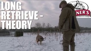 Gundog training tips  How to get your dog to do long retrieves [upl. by Ramu467]