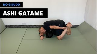 No Gi Judo  腕挫脚固  Ashi Gatame Sidelying arm bar [upl. by Kahlil415]