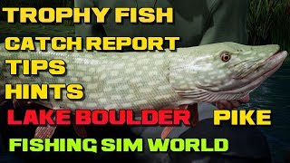 Fishing Sim World Lake Boulder Trophy Northern Pike 25lb Location amp Catch Report [upl. by Tillio]